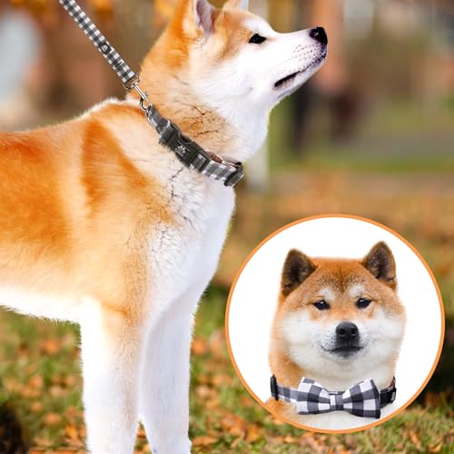 IVY&LANE Dog Collar with Bowtie and Leash Set | Plaid Adjustable Dog Collar | Detachable Bow Tie |5 FT Dog Leash | for Small Medium Large Dogs | Checkered Black | Medium - color: Checkered Black, size: M