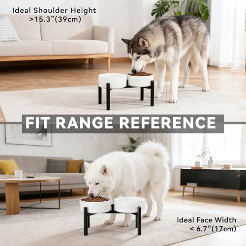 Dog Bowls Elevated - Ceramic Raised Dog Bowl with Non Slip Steel Stainless Stand - No Spill and Heated Feeding Station - Food and Water Dish Set for Medium to Large Pet - Each Holds 7.5 Cups – Green - color: Green, size: 2 Bowls - 7.5 Cups Each
