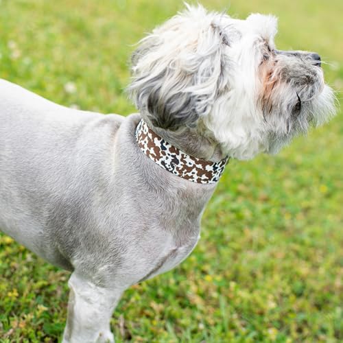 Country Brook Petz - HossFit Jr Wide Martingale Dog Collar - Country and Western Collection Featuring Rustic Designs (Cow Print, Large) - color: Cow Print, size: Large (Pack of 1)