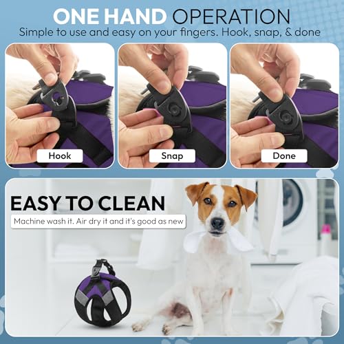 Gooby Soft Mesh X Step in, Purple, X-Small - color: Purple, size: X-Small