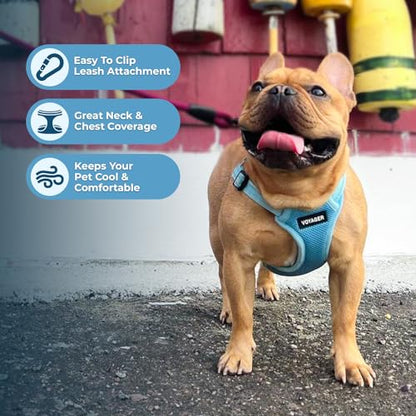 Best Pet Supplies Voyager Adjustable Step-In Flex Breathable Mesh Dog Harness for Small Medium Large Dogs (Baby Blue), XL - color: Harness (Baby Blue), size: XL