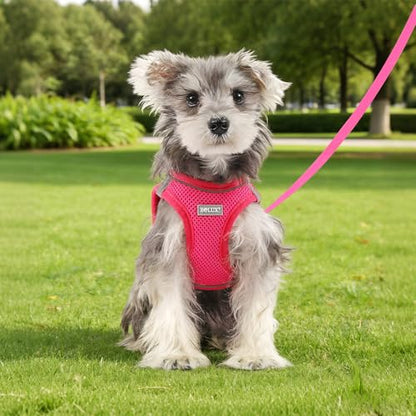 Dog Harness Small Sized and Leash Set, Step in Soft Light Puppy Vest, Breathable Mesh Pet Harness, Reflective for Safe Easy Walking. - color: Pink, size: Small (Pack of 1)