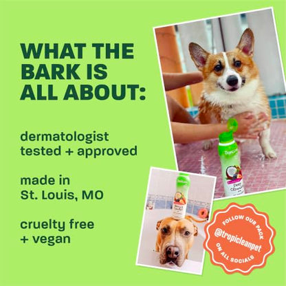 TropiClean 2-in-1 Dog Shampoo and Conditioner & Dog Detangler Spray Dematting, Grooming Bundle, Puppy Safe, Made in USA - size: Bundle
