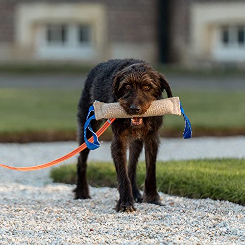Herm Sprenger - Jute Dog Tug Toy - Jute Dog Training Tool with 2 Handles for Training, Interactive Play, Tough Tug of War, for Small Medium Large Breeds (Medium)
