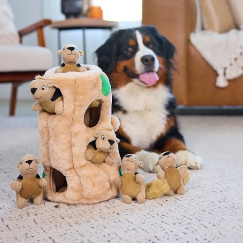 Outward Hound Hide-A-Squirrel Dog Toy – Interactive 2‑in‑1 Plush Puzzle with 6 Squeaky Removable Squirrels, X-Large - color: Squirrel Xlarge