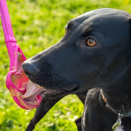 SodaPup Lick Sticks eToy – Durable Interactive Enrichment Toy Made in USA from Non-Toxic, Pet-Safe, Food Safe Material for Bonding, Training, Calming, Mental Stimulation, Oral Health & More - color: Pink Ice Cream Cone Lick Stick