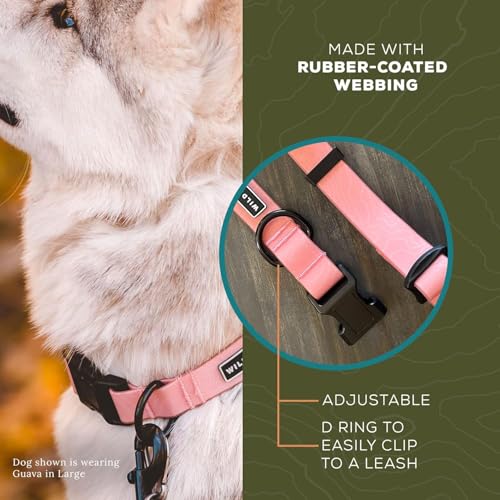 Wilderdog Waterproof Dog Collar - Repels Water & Dirt - Small 11"-15" - Guava - color: Guava, size: Small