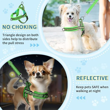 Lukovee No Pull Dog Harness and Leash Set, Soft Padded Small Dog Harness, Neck & Chest Adjustable Reflective Vest Puppy Harness with 4ft Lightweight Anti-Twist Dog Leash for Small Dogs (S, Green) - color: Green - with Stripe, size: S ( Chest 17.5'' ~ 22''