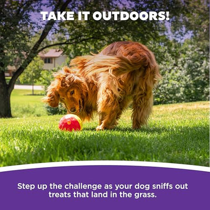 Outward Hound by Nina Ottosson Treat Tumble – Interactive Food-Dispensing Dog Puzzle Ball, Level 1 Beginner, Large, 5.8" - color: Treat Tumble (Large Red)