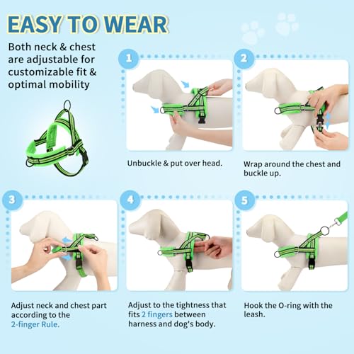 Lukovee No Pull Dog Harness and Leash Set, Soft Padded Small Dog Harness, Neck & Chest Adjustable Reflective Vest Puppy Harness with 4ft Lightweight Anti-Twist Dog Leash for Small Dogs (S, Green) - color: Green - with Stripe, size: S ( Chest 17.5'' ~ 22''