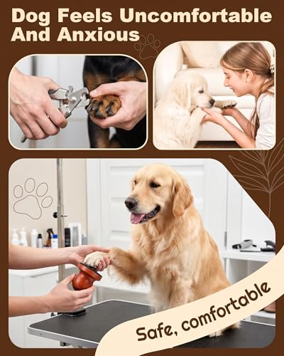 Dog Nail File,6 Pcs Replaceable Filing Disc Pet Nail Files Board,Dog Scratch Board for Safe and Easy Gentle Pet,Nail Care Tool for Dogs and Cats