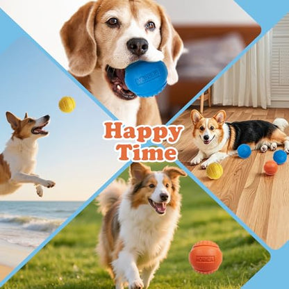 10 Pack Dog Balls, Size Medium for Dogs 20-60 lbs, Bite Resistant Elastic Balls for Dogs with Mesh Bag, Durable Rubber, Floating Dog Balls, 2.5-inch Diameter - size: 10 PCS