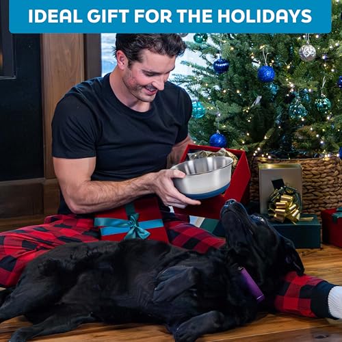 Master Pet Supply Stainless Steel Dog Bowls Set of 2 with Extra Thick Silicone Base - 2 Cup (16 oz) Plum Crazy, Non-Slip, Dishwasher Safe Metal Bowls, Pet Dog Food Bowl for Dogs, Cats, Anti Rust - color: Plum Crazy, size: 2 Cups (16 oz) 2 Pack