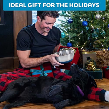 Master Pet Supply Stainless Steel Dog Bowls Set of 2 with Extra Thick Silicone Base - 2 Cup (16 oz) Plum Crazy, Non-Slip, Dishwasher Safe Metal Bowls, Pet Dog Food Bowl for Dogs, Cats, Anti Rust - color: Plum Crazy, size: 2 Cups (16 oz) 2 Pack