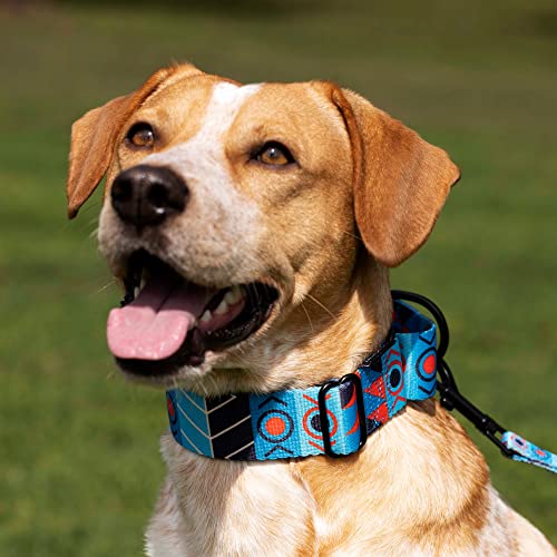 CollarDirect Martingale Dog Collar Heavy Duty Nylon Slip Collars for Small Medium Large Dogs [Nylon, Patterned, Blue Ethnic, XL, 19"-24"] - color: Blue Ethnic, size: X-Large (Neck Size 19"-24")