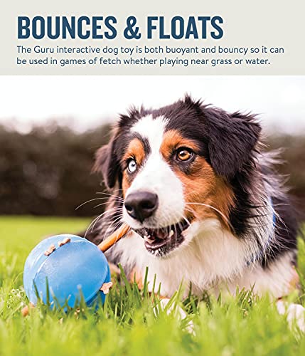 Outward Hound Guru Treat-Dispensing Puzzle Ball Dog Toy, Blue - color: Blue