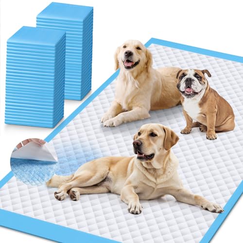 iweepet Upgraded XXXXL 31 X47 40 Counts Thicken Super Absorbent & Leak-Proof 6 Layers Puppy Pads , Disposable Potty Pads Dog Pee Pads Extra Large for Puppy, Surgery, Older, Cats, Rabbits - size: 31"x47" Blue