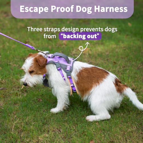 Huntboo Reflective Dog Harness with Handle, Escape Proof, No Slip,Breathable, Lightweight,Adjustable Lift Harness for Small,Medium,and Large Dogs Walking, Training,and Running Gear(Lavender Purple,XS) - color: Lavender Purple, size: X-Small(Pack of 1)