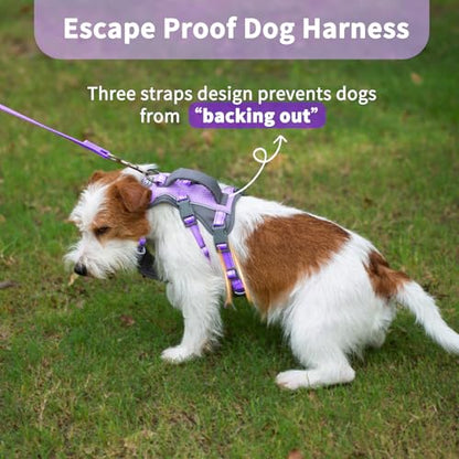 Huntboo Reflective Dog Harness with Handle, Escape Proof, No Slip, Breathable, Lightweight,Adjustable Lift Harness for Small,Medium,and Large Dogs Walking, Training,and Running Gear(Lavender Purple,S) - color: Lavender Purple, size: Small (Pack of 1)