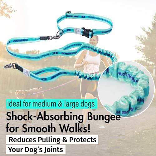 Hands Free Dog Leash with Waist Belt Lifetime Replacement, Dual Handle Bungee Leash for Running, Jogging, Hiking and Walking, for Medium and Large Dogs 5118 - color: Aqua Blue