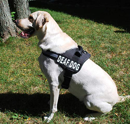 Doggie Stylz Set of 2 Reflective Deaf Dog Removable Patches with Hook Backing for Working Dog Harnesses & Vests. Durable and Interchangeable - Comes in 3 Sizes Small, Medium and Large - size: Large 6" X 2"