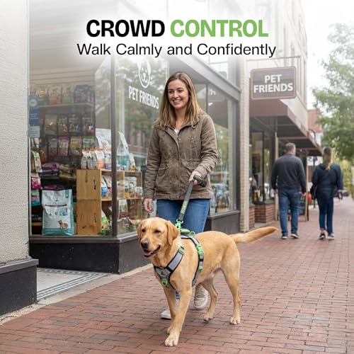 Ultimate Urban Dog Harness - Heavy Duty Design, No Choke, No Pull. Adjustable, Comfy Padding, Easy On/Off, Metal Hardware, Emergency Handle and 3 Connect Points (Green, XS) - color: Green, size: XS