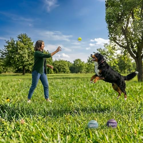 Outward Hound FlyFetch Squeaker Ballz Dog Toy, Squeaking Fetch & Retrieve Tennis Balls, Floats in Water, Compatible with FlyFetch Launch-A-Ball, 2.5", 3-Pack - color: Squeaker Ballz Multi