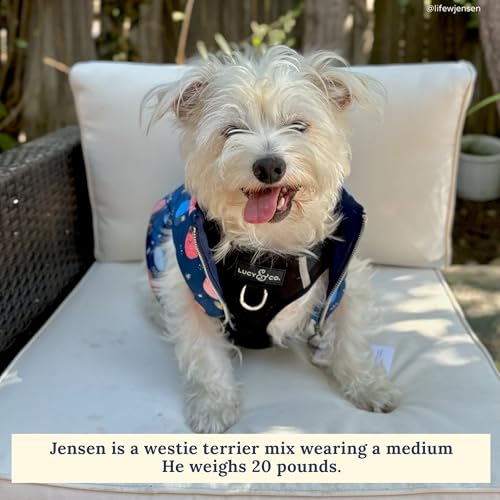 Lucy & Co. The Midnight No-Pull Dog Harness - Size X-Large - Vest to Stop Pulling & Walk Easy - Comfortable Leash Training Product w/Adjustable Chest & Neck Straps - color: The Midnight No-Pull Harness, size: X-Large