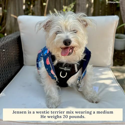 Lucy & Co. The Midnight No-Pull Dog Harness - Size X-Large - Vest to Stop Pulling & Walk Easy - Comfortable Leash Training Product w/Adjustable Chest & Neck Straps - color: The Midnight No-Pull Harness, size: X-Large