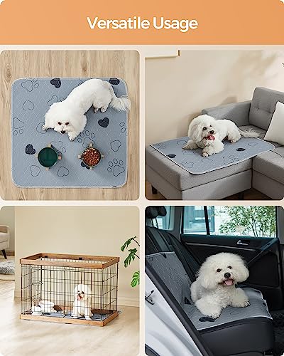 Feandrea Washable Dog Pee Pads, 2 Pack, Reusable Dog Pads, 36 x 34 Inches, M, Waterproof Pet Training Pads, Leakproof, Non-Slip, Super Absorbent, Gray UPTD034G01 - size: M (36"L x 34"W)