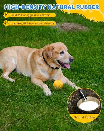 SCHITEC Dog Balls Indestructible, [2 Pack] Solid Rubber Bouncy Fetch Ball for Aggressive Chewers, Durable Chew Toy for Medium Large Dogs