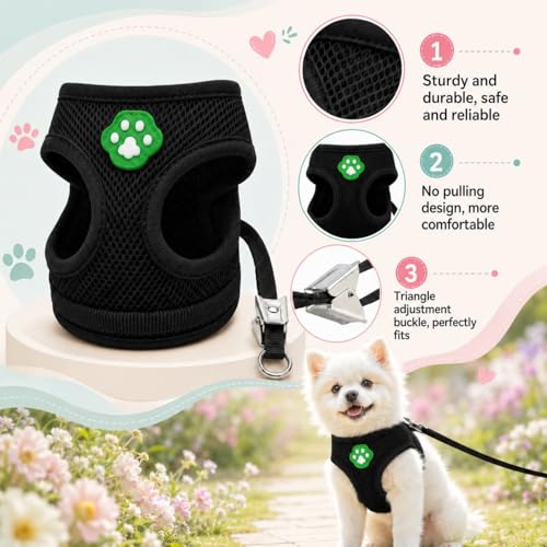 Dog Harness Small Sized and Leash Set, Step in Soft Light Puppy Vest, Breathable Mesh Pet Harness, Adjustable Pet Puppy Harness, Easy Walk Dog Harness, M: Chest 11.8-17.7" - color: Black, size: M: Chest 11.8-17.7" Leash 3.8 FT