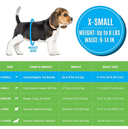 Bodhi Dog Disposable Male Dog Diapers - Super Absorbent, Leak-Proof Pee Wraps - Adjustable Fit, Comfortable Design, Advanced Moisture Control, and Wetness Indicator - Extra Small (20 Count) - size: Extra Small