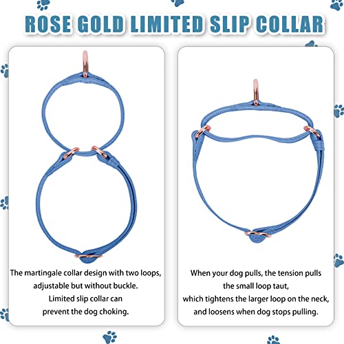 Soft Leather Martingale Dog Collar - Adjustable Rose Gold Limited Slip Collars [Easy to Clean], Stylish Durable Heavy Duty Nylon No Pull Training Collar for Small Medium Large Dogs XS Blue Purple - color: Blue Purple, size: XS (Neck 8"-11", Width 3/5")
