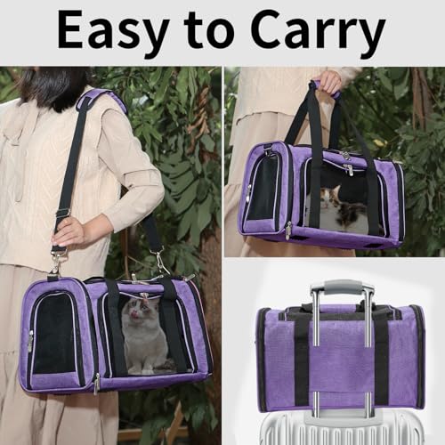 Soft-Sided Cat/Dog/Pet Carrier, Collapsible Pets Travel Carriers for Big Cats/Small Dogs with Shoulder Strap & Removable Mat, Mesh Puppy Carry Bag, Up to 25 Lbs(Purple) - color: Purple, size: 20"L x 13"W x 13"H