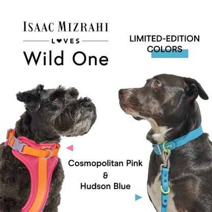 Wild One Dog Collar, Easy-Clean, All Weather Flex-Poly Strap with Metal, Durable, Dirt and Odor Resistant (Hudson, M) - color: Hudson, size: M