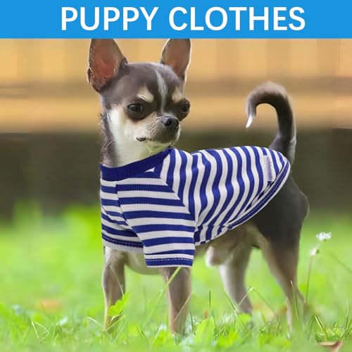 2 Pieces Stripe Dog Shirt for Small Dogs Summer Dog Clothes Cute Soft Puppy Clothes Bresthable Chihuahua Cat Clothes XS~XXL Pet Clothing (X-Small) - color: blue, size: X-Small