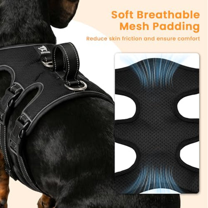 Escape Proof Dog Harness and Leash Set,Soft Padded Full Body Pet Harness, No Pull Reflective Adjustable Dog Vest with Handle, Easy Control Dog Harness for Medium Large Dogs Training Walking Running - color: Black, size: M