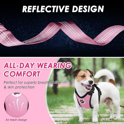 Lukovee Dog Car Harness Seat Belt, Adjustable Mesh Breathable Vest with Elastic Bungee Tether, Soft Padded 2-in-1 Safety Car Harness Seatbelt for Small Medium Large Dogs (A-Pink,XS) - color: A-Pink, size: X-Small