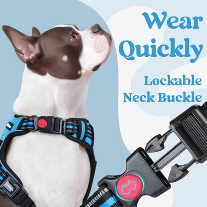 rabbitgoo Dog Harness Small Sized, No Pull Pet Harness with 3 Buckles, Adjustable Soft Padded Vest with Control Handle, Walking Reflective Pet Vest for Small Dogs, Sky Blue, S - color: Sky Blue, size: Small