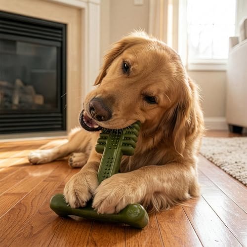 SPOT Bam-Bones Plus Toothbrush Dog Chew Toy for Large Dogs 60-90 lbs, Bamboo & Nylon Dental Chew with Mint & Baking Soda, T-Bone Shape for Moderate to Heavy Chewers, 7 Inch - size: 7 Inch (Pack of 1)