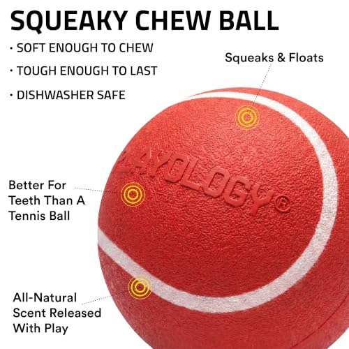 Playology Dog Toys | Squeaky Chew Ball for Dogs | Beef Scented Medium Dog Ball | Bouncy Floating Chew Toys for Fetch - size: Medium, style: Beef