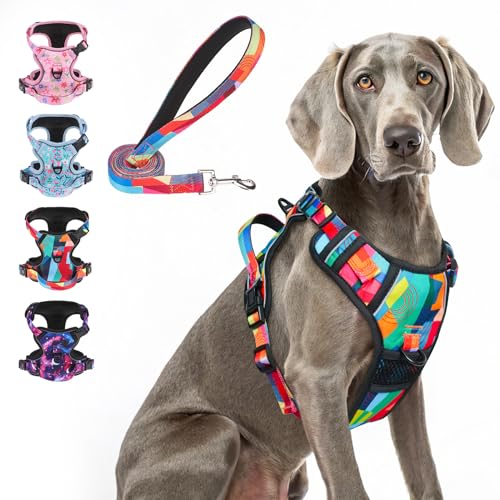 BEAUTYZOO No Pull Dog Harness Large, Adjustable Dog Harness and Leash Set -Easy Wearing with 3 Buckles/Control Handle,No Choke Soft Padded Reflective Pet Vest for Training Walking Hiking, XL - color: Geometry, size: XL: chest 22"-44"