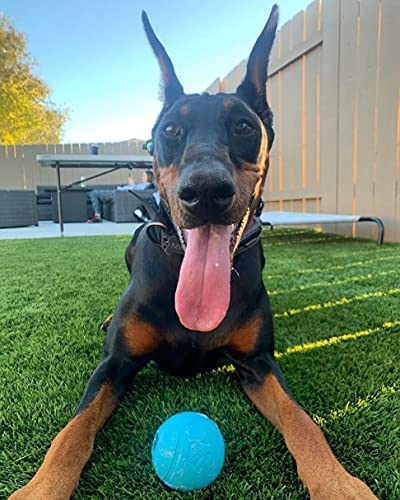 Chew King Fetch Balls Extremely Durable Natural Rubber Toy Pack of 3 - 3 inch Balls (CM-0263-CS01) - color: 3-Pack (3" Balls) - Blue, Purple, Turquoise