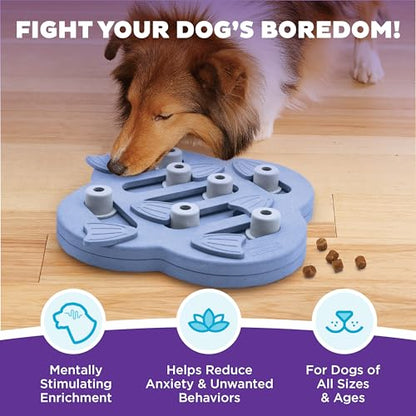 Outward Hound by Nina Ottosson Dog Hide N' Slide – Interactive Treat Puzzle Enrichment Toy, Level 2 Intermediate - color: Dog Hide-N-Slide (Purple)