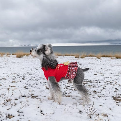 CuteBone Christmas Dog Sweater Dress Turtleneck Puppy Sweater with Bowtie Leash Hole Pullover Winter Dress for Small Dogs - color: Merry Christmas 1, size: Small