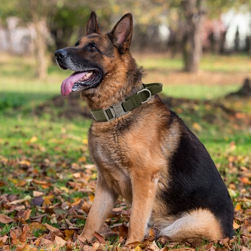 Tactical Dog Collar with Handle - Military Adjustable Dog Training Collar Soft Nylon and Heavy Duty Metal Buckle for Medium Large Dogs - with Patch (Green, Medium) - color: Green, size: Medium