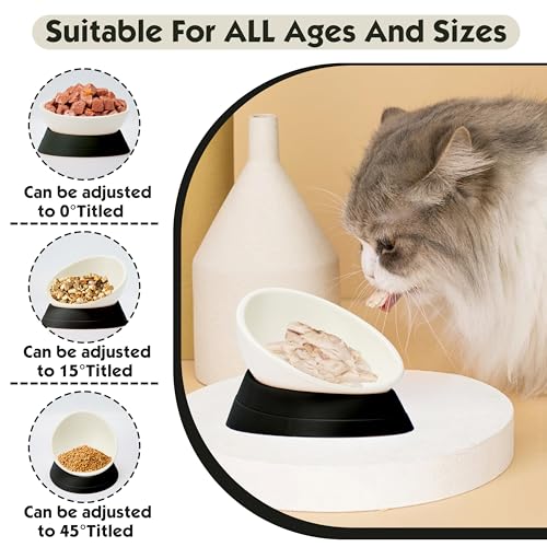 French Bulldog Food Bowl- Slanted Tilted Pug Food Water Bowl,Cat Bowl- Feeder for Frenchie/Shih Tzu/Flat Faced Small Dogs/Puppies/Cats (Black, 4 Cup) - color: Black, size: 4 Cup