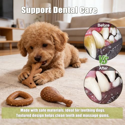 SCHITEC Dog Toys for Aggressive Chewers, 3 Pack Nylon & Wood Dog Chew Toy, Tough Chew Bone for Puppy Small Medium Dogs, Indestructible Teething Dog Toy, Chicken Flavor (Small) - style: Small
