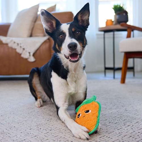 Outward Hound Tough Skinz Durable Squeaky Dog Toy with Two Tough Layers, Carrot, Multicolor, Medium - color: Carrot, size: Medium